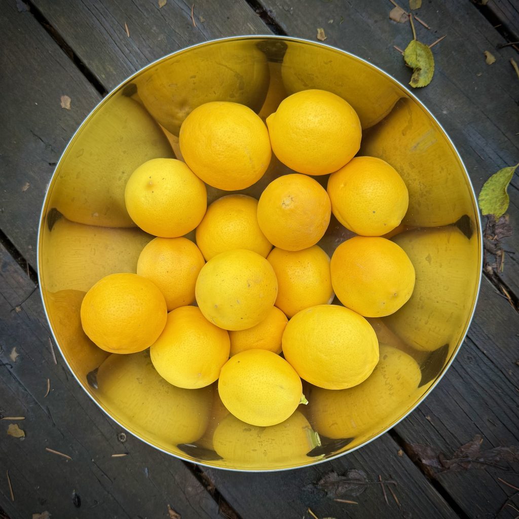 Bright yellow lemons in a shiny metal bowl, which reflects the bright yellow lemons